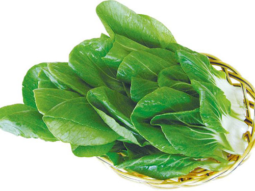油菜